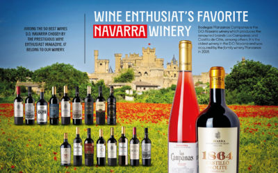 Wine Enthusiat’s favorite Navarra winery